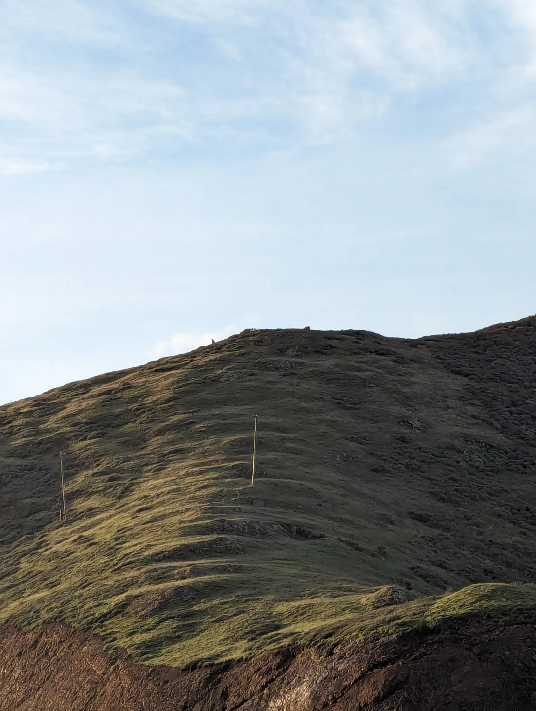 A grassy hillside with patches of golden light and shadow under a pale blue sky.