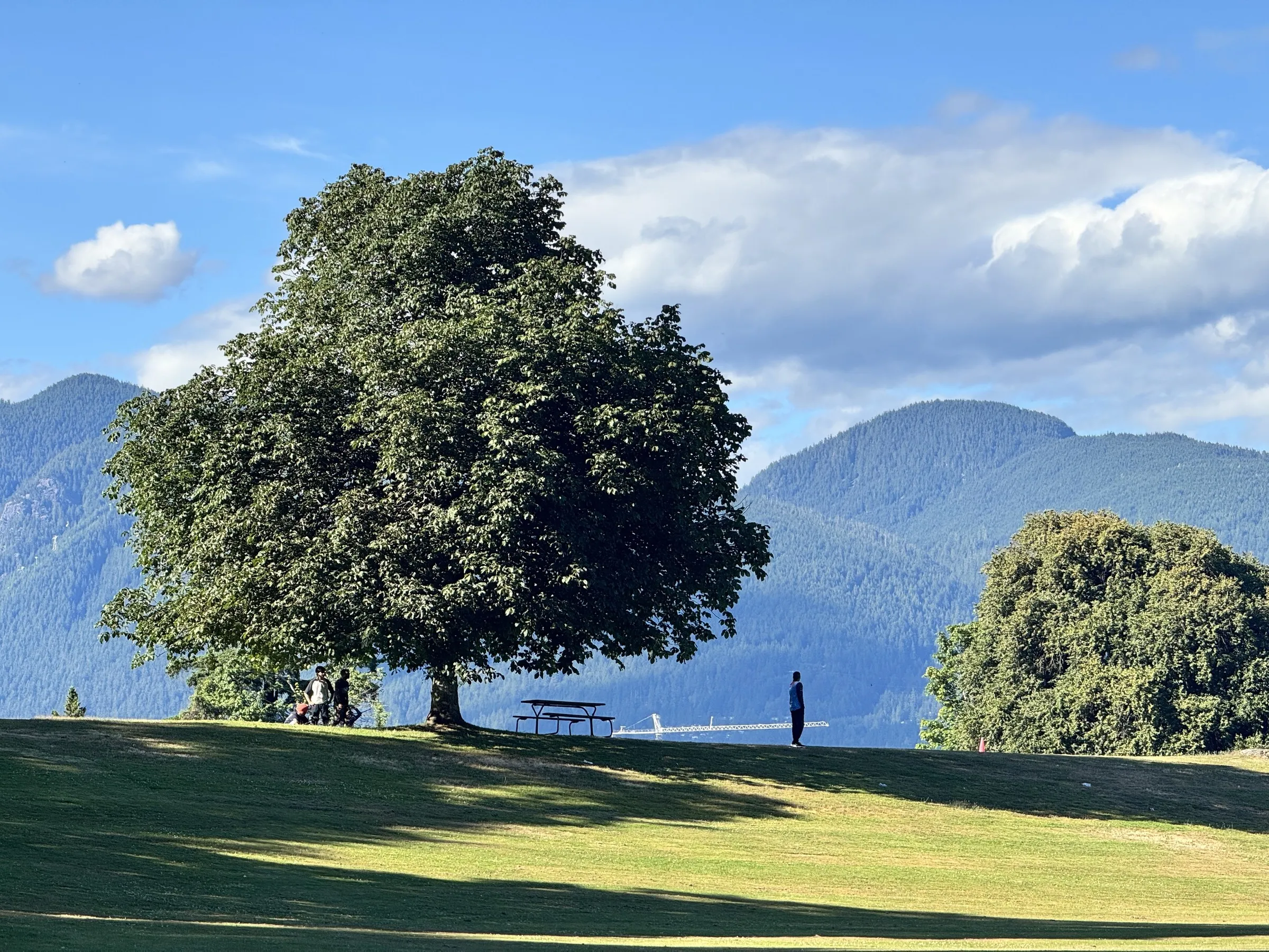 A person standing beneath a large tree on a green lawn with mountains in the distance.