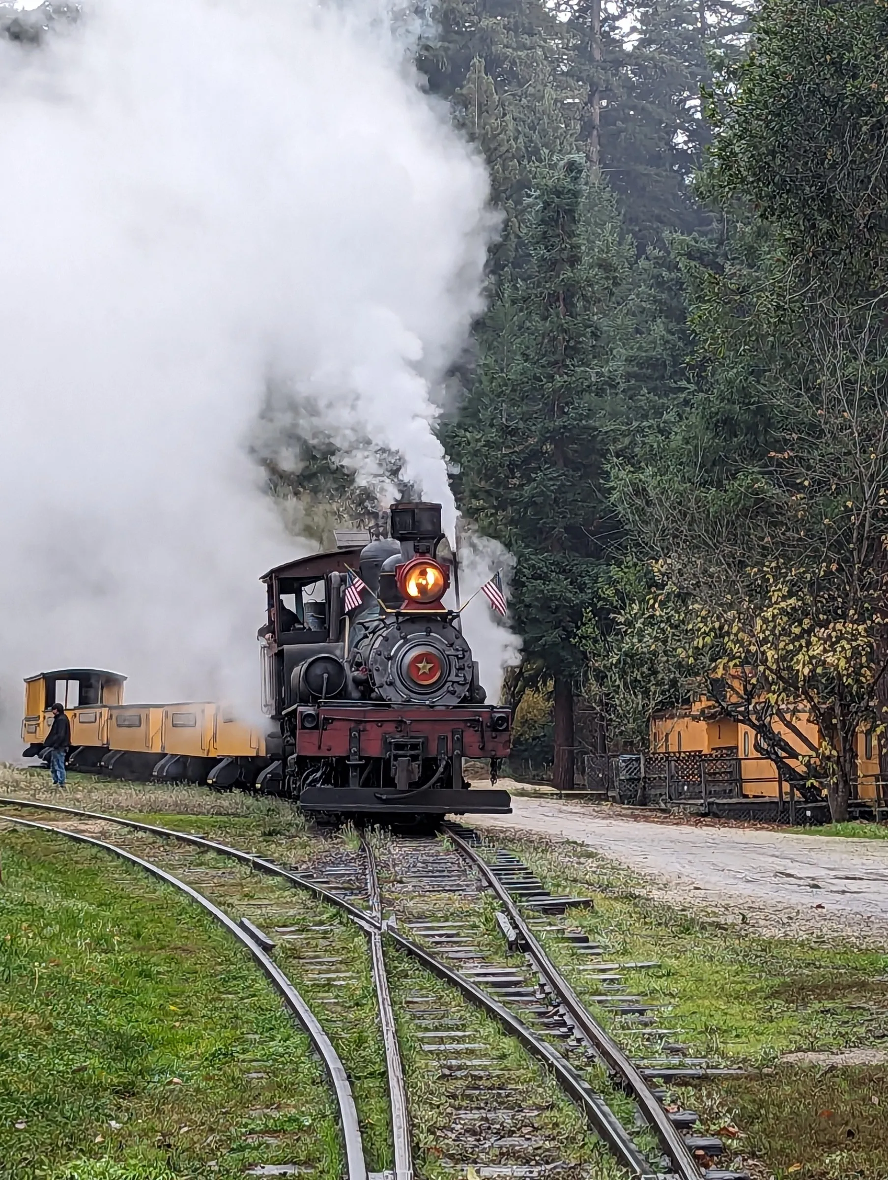 A vintage steam locomotive billowing white smoke on forest tracks with yellow passenger cars.