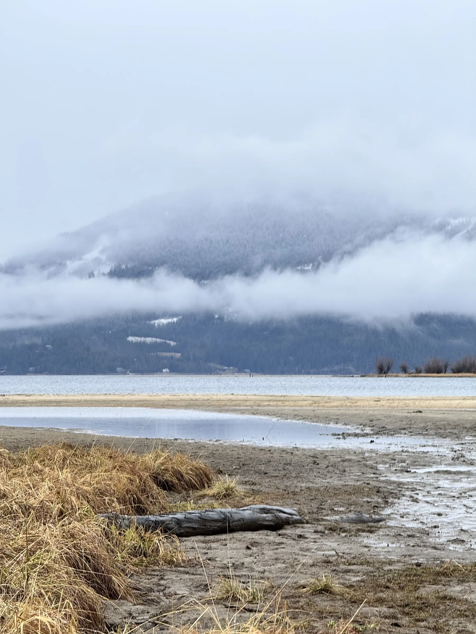 A piece of driftwood on a mudflat at low tide with mountains shrouded in clouds across the water.