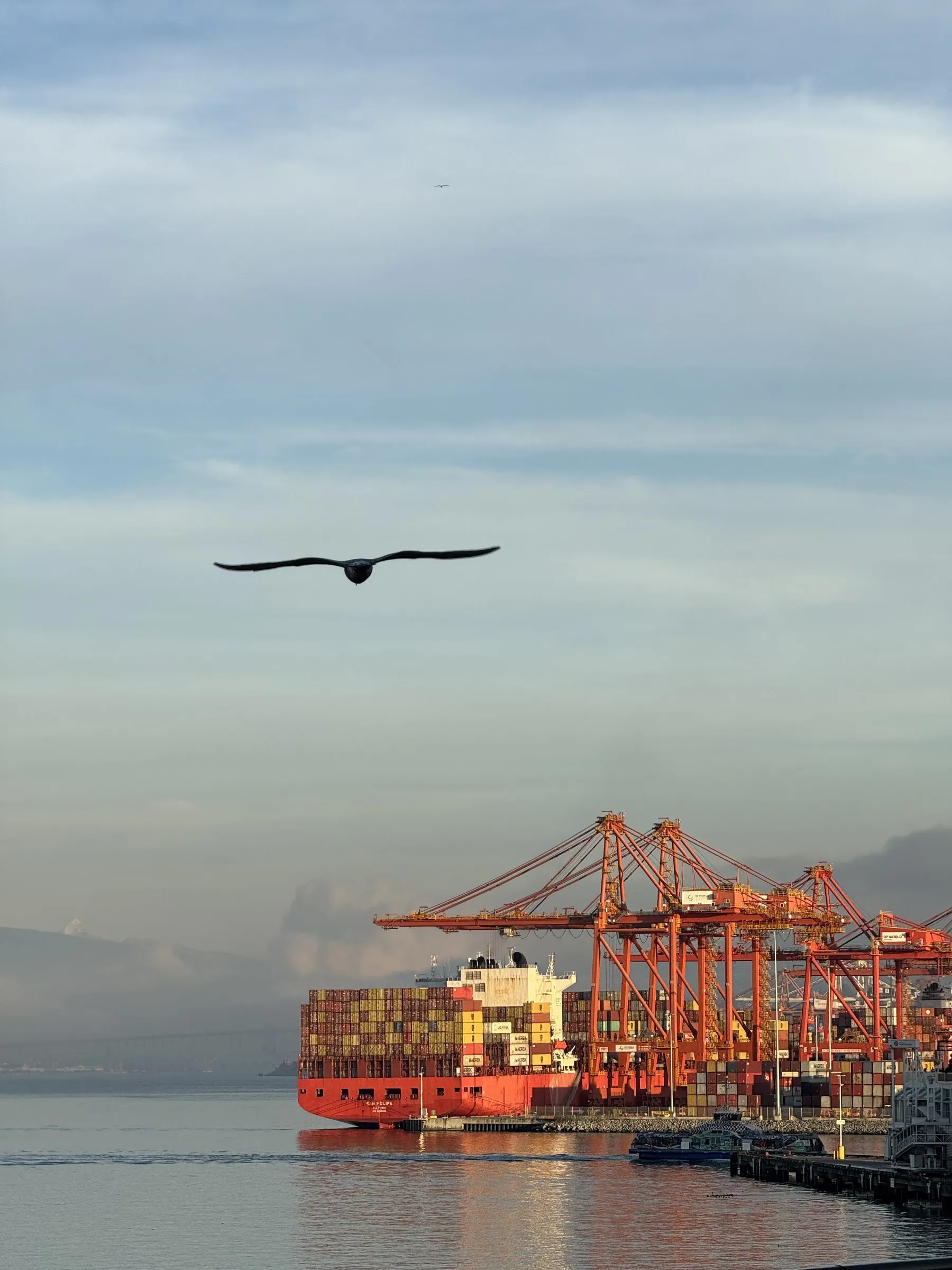 A red container ship docked at port with orange cranes under a pale sky, bird flying overhead.