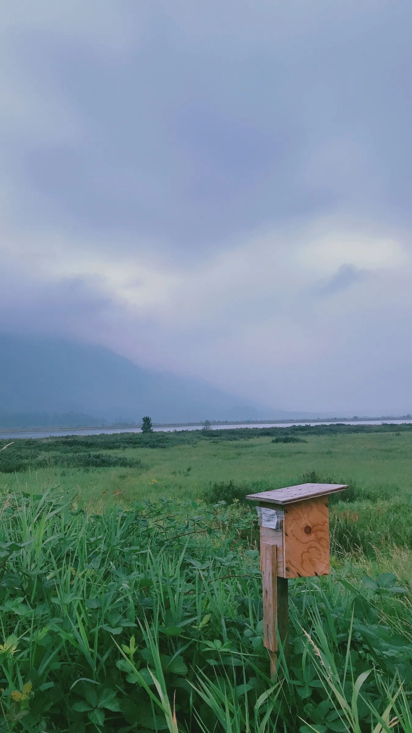 Wooden birdhouse in green field with storm clouds and mountains in background