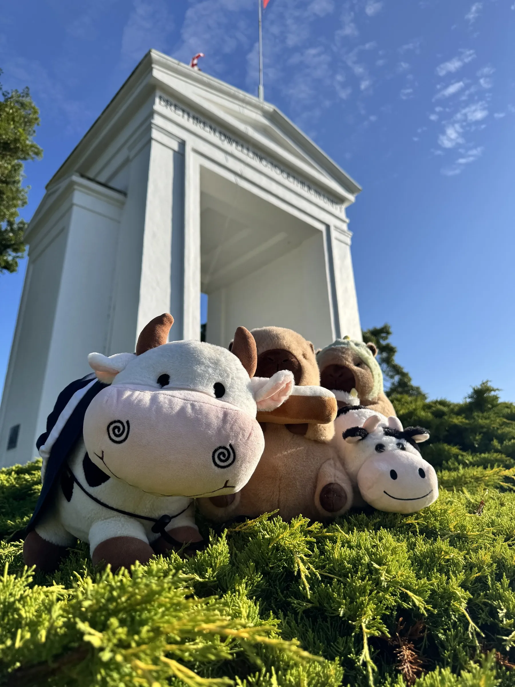 Stuffed toy cows on grass in front of white neoclassical monument building under blue sky