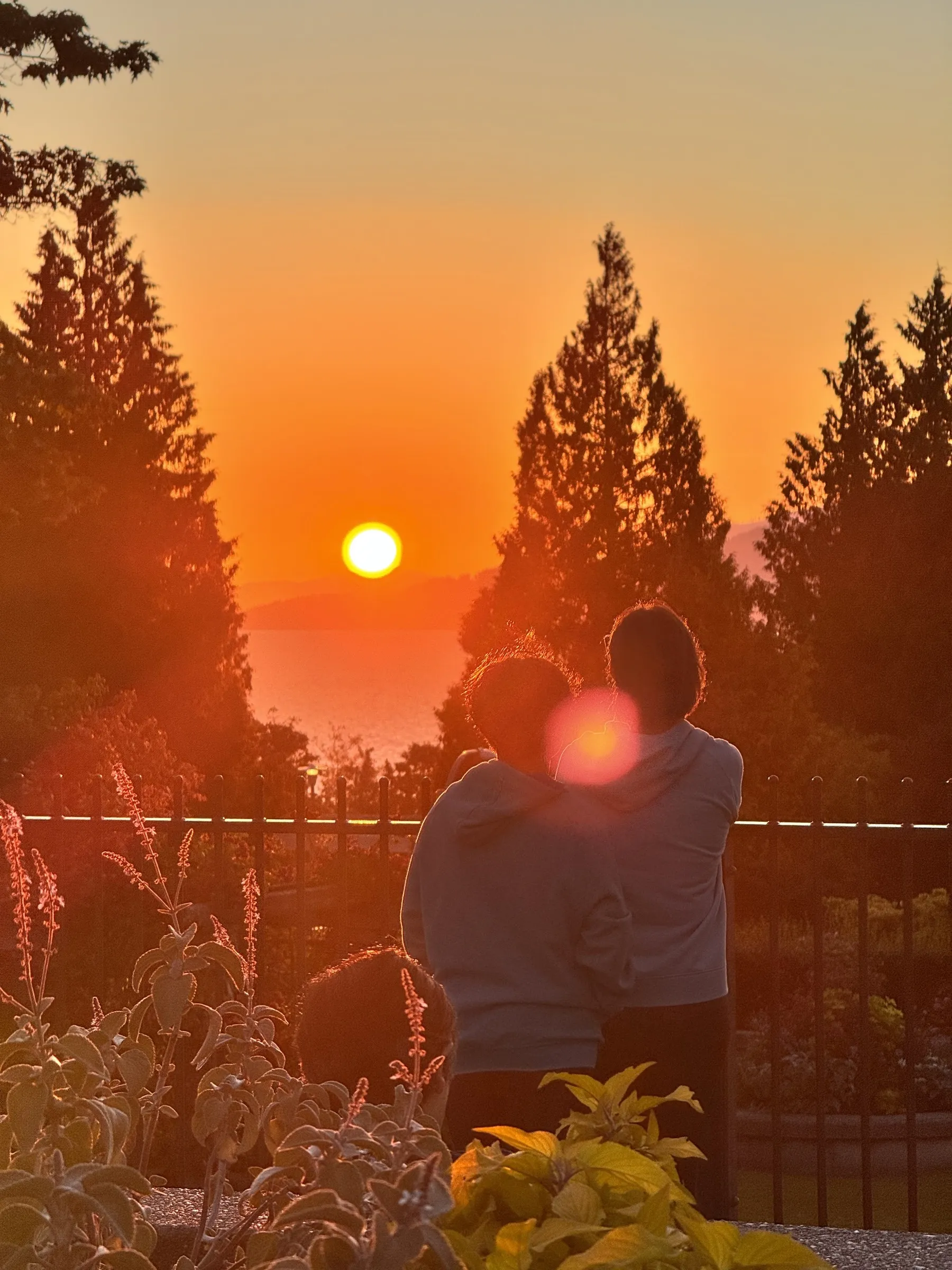 Silhouette of person with child on shoulders at sunset through trees with lens flare