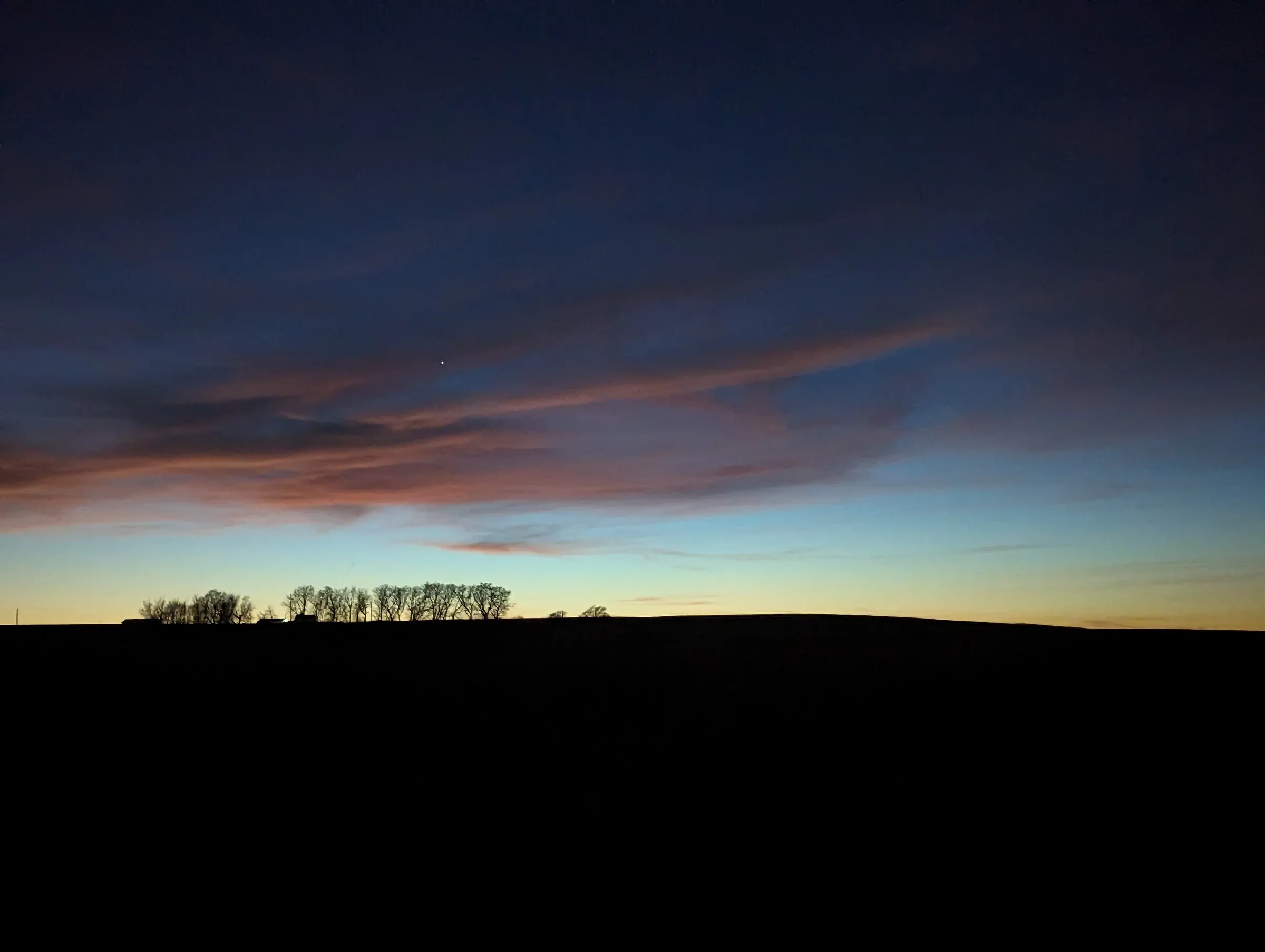 Silhouetted trees on horizon at dusk with layered clouds in blue, pink, and orange tones.