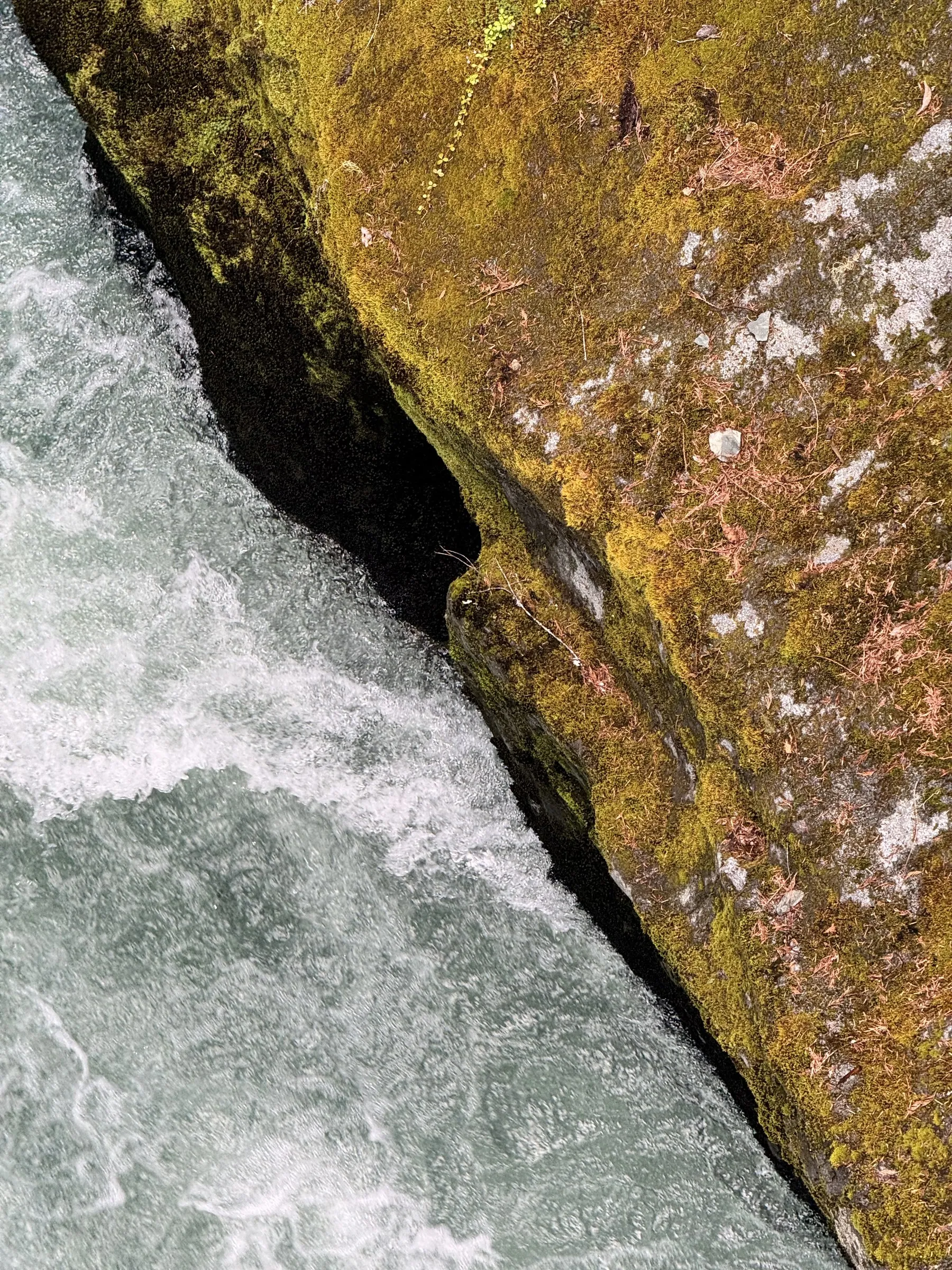 Close-up of white water foam flowing along moss-covered rock surface with lichen patterns visible.