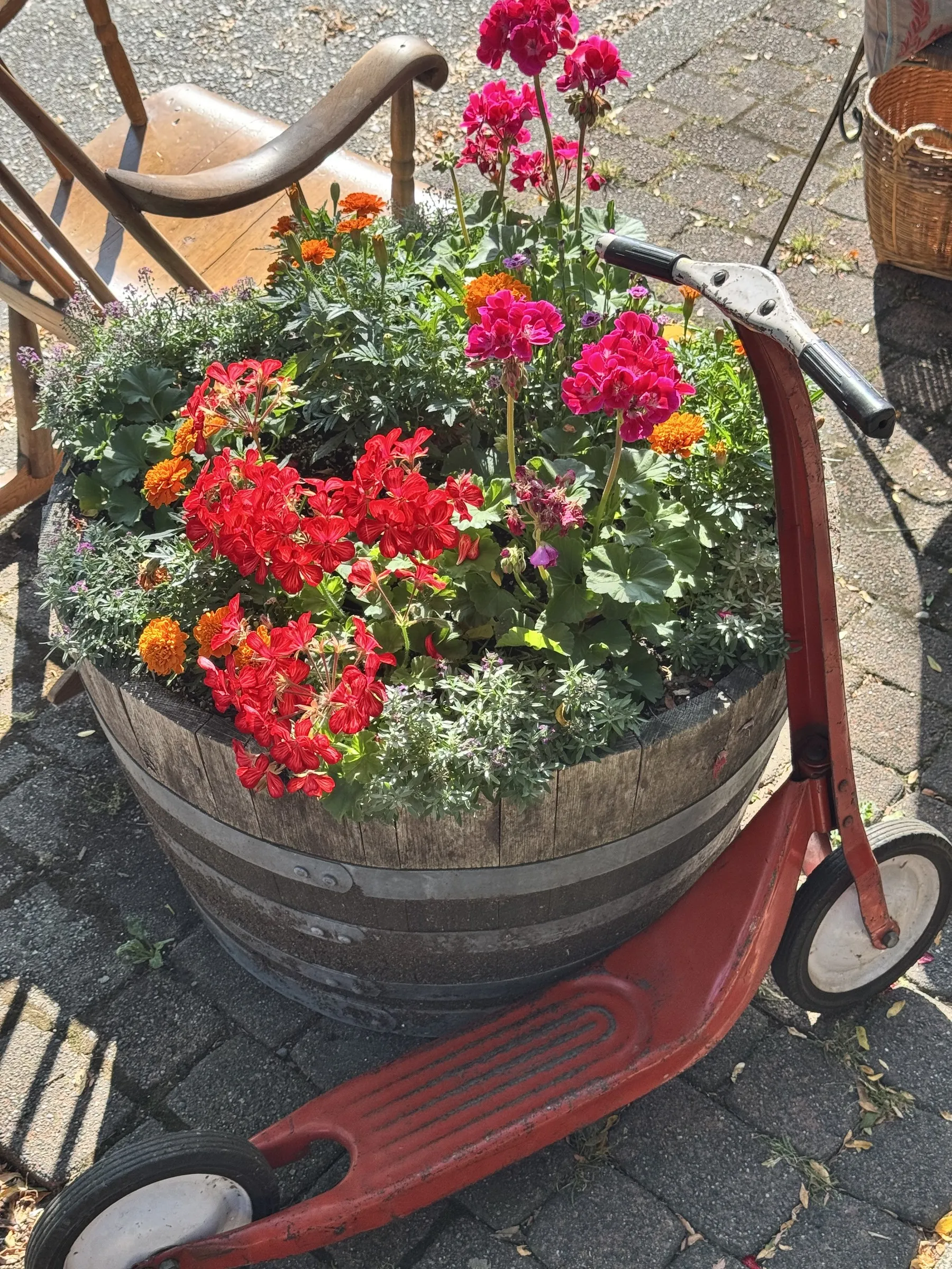 Red vintage bicycle with basket containing bright pink and orange geraniums parked on cobblestone street.